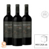 durigutti gran reserva caja mix x6
