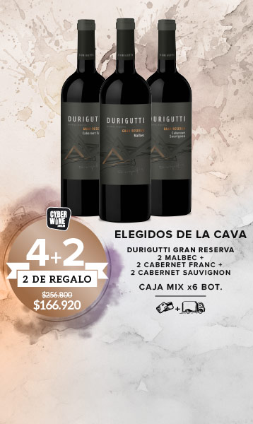 promo 4+2 elegidos de la cava caja mix x6