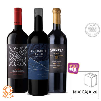 COMBO ICONOS PREMIUM I :: Caja MIX x6
